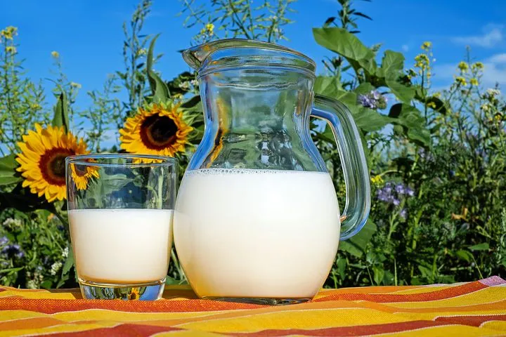 Животноводы Рязанской области увеличили производство молока на 8,3% - Минсельхоз 