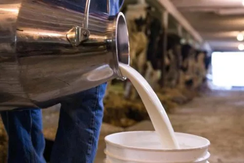 фотография продукта Молоко высшего сорта